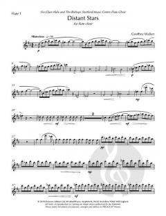 Distant Stars von Geoffrey Walker 