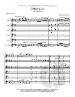 Distant Stars von Geoffrey Walker 