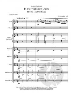 In the Yorkshire Dales von Christopher Ball 