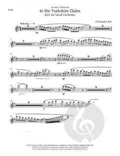 In the Yorkshire Dales von Christopher Ball 