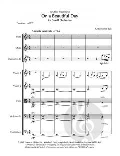 On a Beautiful Day von Christopher Ball 
