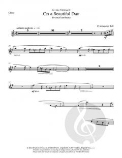 On a Beautiful Day von Christopher Ball 