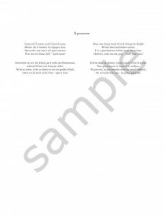 Années de pèlerinage & Venezia e Napoli von Franz Liszt 