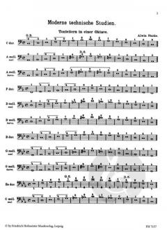 Technische Studien von Starke, Alwin 