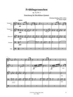 Frühlingsrauschen op. 32/3 von Christian Sinding 