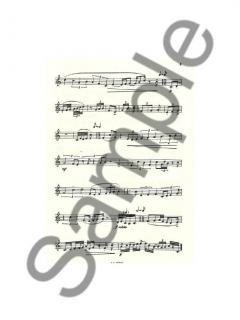 Lectures Rythmiques von Suzanne Choppin 