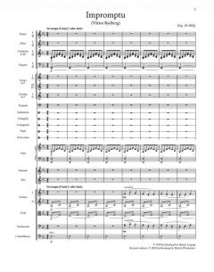 Sämtliche Werke (JSW) Serie VII Band 3 von Jean Sibelius 