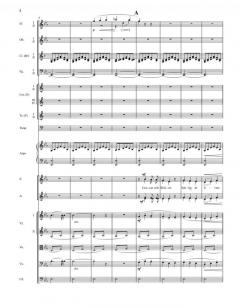 Sämtliche Werke (JSW) Serie VII Band 3 von Jean Sibelius 