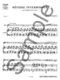 Reverie Interrompue von Marcel Dautremer 