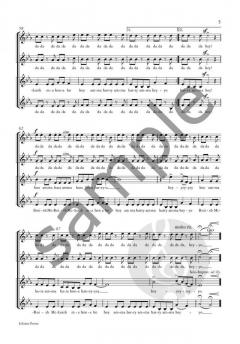 Broish McRoish von Uwe Henkhaus 