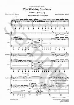 The Walking Shadows von Stephen McNeff 