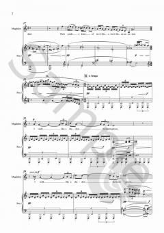 The Walking Shadows von Stephen McNeff 