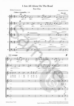 I am all alone on the road von Alexander Levine 