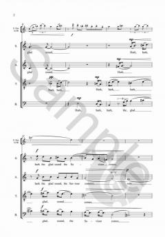 An Introduction to Hark, the Glad Sound von Judith Bingham 