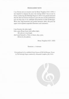 I saw Eternity von Alexander Campkin 