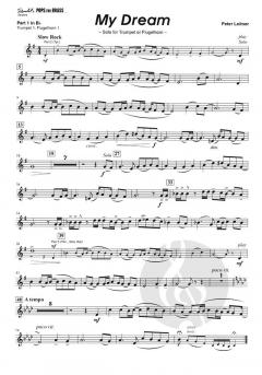My Dream von Peter Leitner 