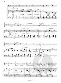 Sonatine d-moll op. 27 von Zdenék Fibich 