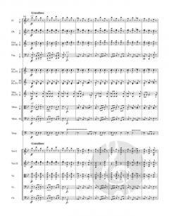 Slawische Rhapsodie g-Moll op. 45/2 von Antonín Dvořák 