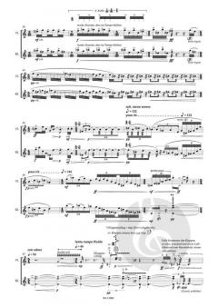 Cute für Flöte und Klarinette in B (2011) von Dieter Ammann 