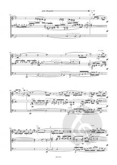 septimus angelus für orgel solo (2017/2018) von Philipp Maintz im Alle Noten Shop kaufen