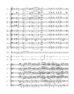 Vyšehrad von Bedrich Smetana 