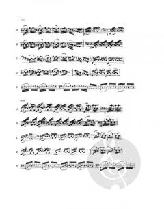 6 Suiten BWV 1007-1012 von Johann Sebastian Bach 