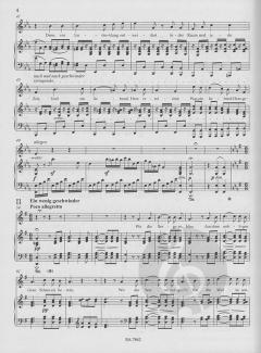 An die ferne Geliebte op. 98 von Ludwig van Beethoven 