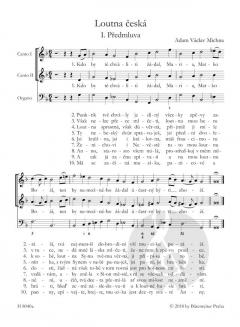 Loutna ceská (The Czech Lute) von Michna z Otradovic 