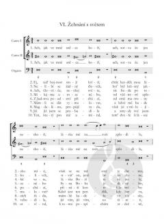 Loutna ceská (The Czech Lute) von Michna z Otradovic 