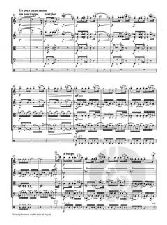 Streichquartett Nr. 2 op. 7 'Aus den Affenbergen' von Pavel Haas im Alle Noten Shop kaufen