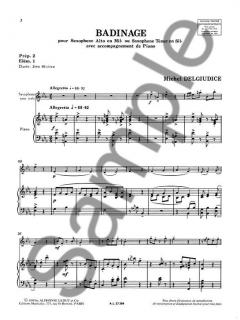 Michel Delguidice: Badinage 