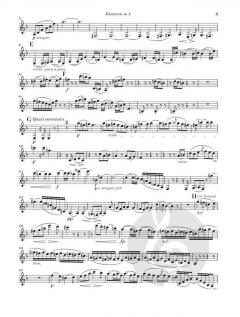 Klarinettenquintett h-moll op. 115 von Johannes Brahms 