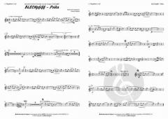 Blechpfiff Polka von Markus Radiske 