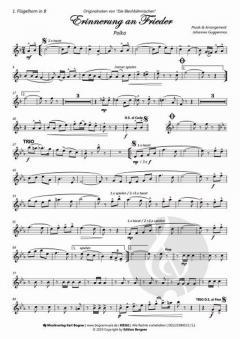 Erinnerung an Frieder von Johannes Guggenmos 