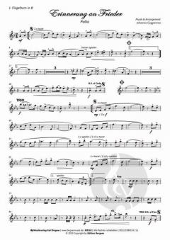 Erinnerung an Frieder von Johannes Guggenmos 