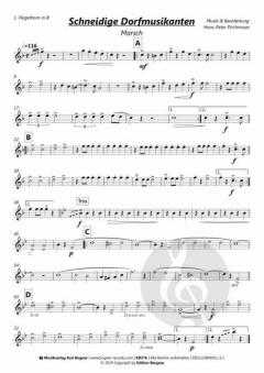 Schneidige Dorfmusikanten von Hans-Peter Pirchmoser 