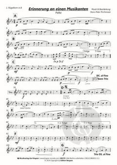 Erinnerung an einen Musikanten 