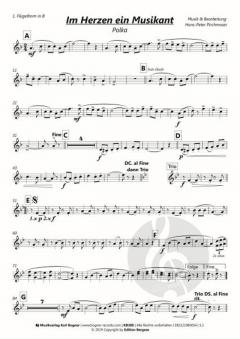 Im Herzen ein Musikant von Hans-Peter Pirchmoser 