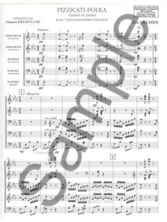 Pizzicati Polka Extrait Sylvia von Leo Delibes 