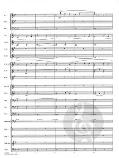 You'll Never Walk Alone (Richard Rodgers) 