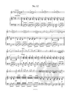 Ungarische Tänze von Franz Behr 