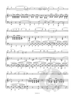 Konzert a-moll op. 129 von Robert Schumann 