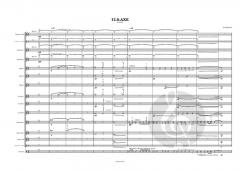 12 S-AXE von Gerald Preinfalk 