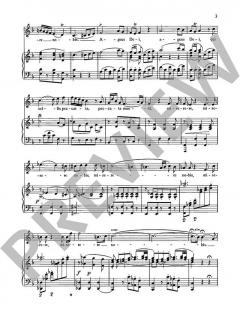 Agnus Dei KV 317 von Wolfgang Amadeus Mozart 