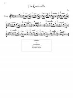 100 Tunes from O'Neill's Music of Ireland 