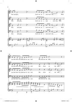 Vincent (Starry Starry Night) von Don McLean 