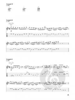 The Guitar of Brian Setzer 