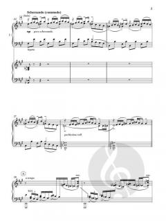 Rhapsody in Blue von George Gershwin 