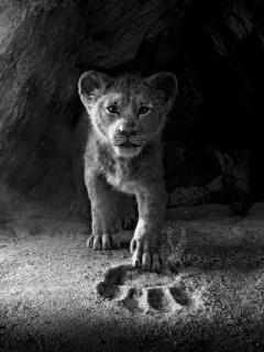 The Lion King - Super Easy Songbook von Elton John 