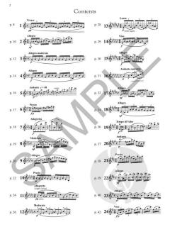 24 Caprices Etudes for Flute von Theobald Böhm 